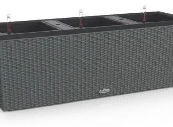 Trio länglicher Topf