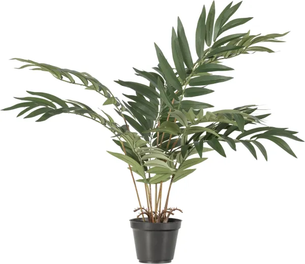 Kwai, Künstliche Pflanze, grün, H68x50x51 cm